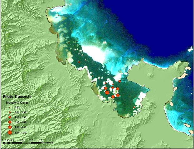 PhotoTransect Dist